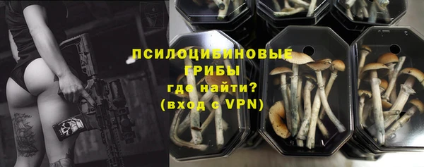 таблы Дмитриев
