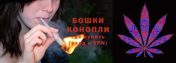 таблы Дмитриев