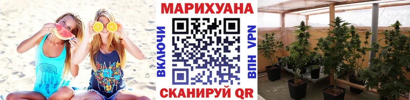 Шишки марихуана семена  Канск 